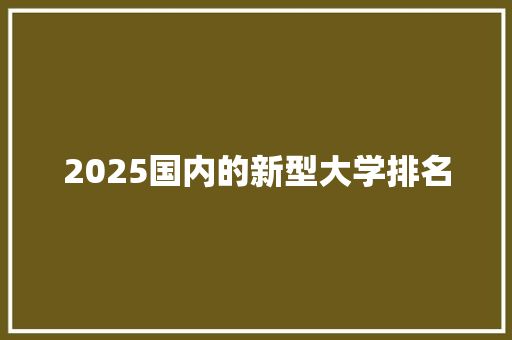 2025国内的新型大学排名