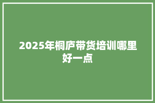 2025年桐庐带货培训哪里好一点