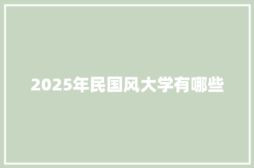 2025年民国风大学有哪些