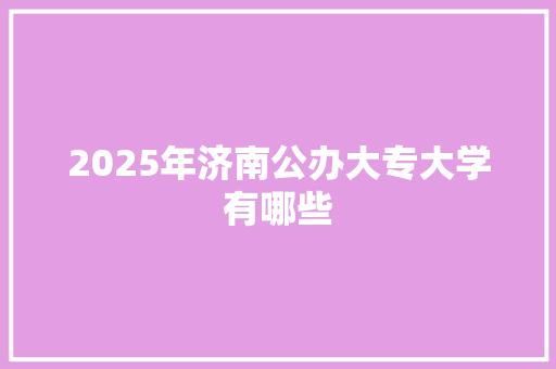 2025年济南公办大专大学有哪些