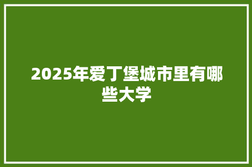 2025年爱丁堡城市里有哪些大学