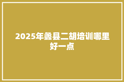 2025年蠡县二胡培训哪里好一点