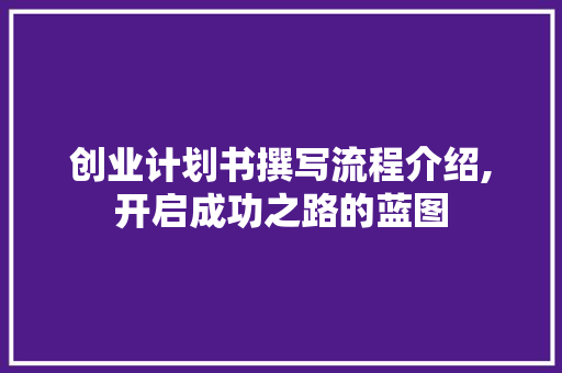 创业计划书撰写流程介绍,开启成功之路的蓝图