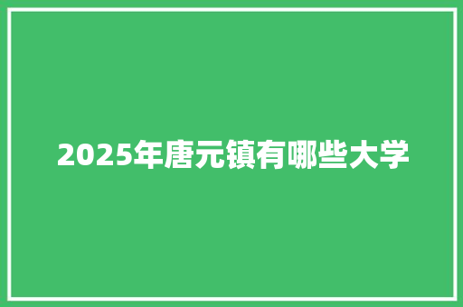 2025年唐元镇有哪些大学