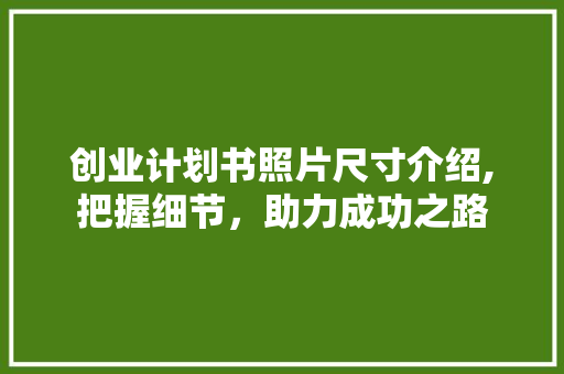 创业计划书照片尺寸介绍,把握细节，助力成功之路