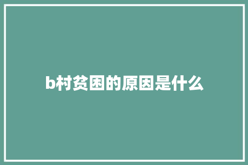 b村贫困的原因是什么