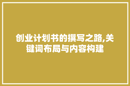 创业计划书的撰写之路,关键词布局与内容构建