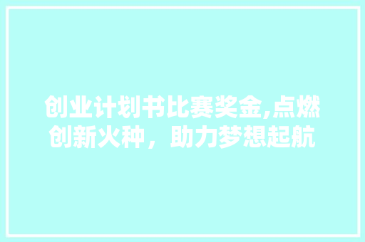 创业计划书比赛奖金,点燃创新火种，助力梦想起航