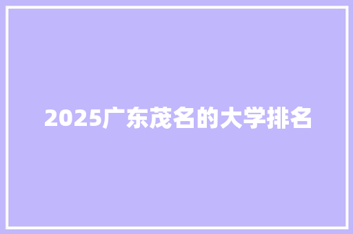 2025广东茂名的大学排名