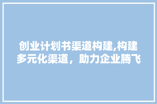 创业计划书渠道构建,构建多元化渠道，助力企业腾飞