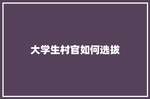 大学生村官如何选拔