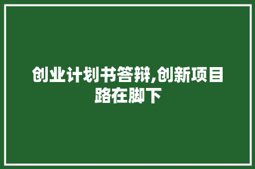 创业计划书答辩,创新项目路在脚下