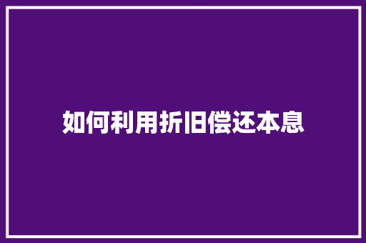 如何利用折旧偿还本息