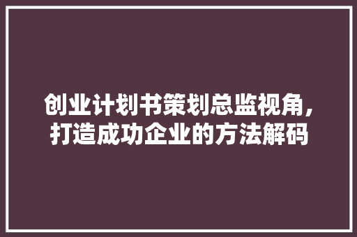 创业计划书策划总监视角,打造成功企业的方法解码