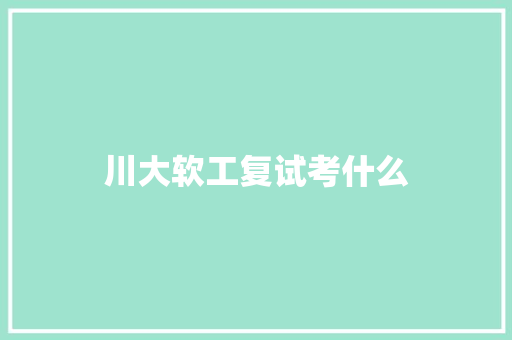 川大软工复试考什么