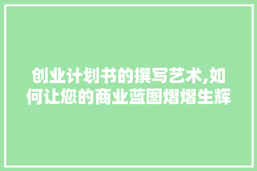 创业计划书的撰写艺术,如何让您的商业蓝图熠熠生辉