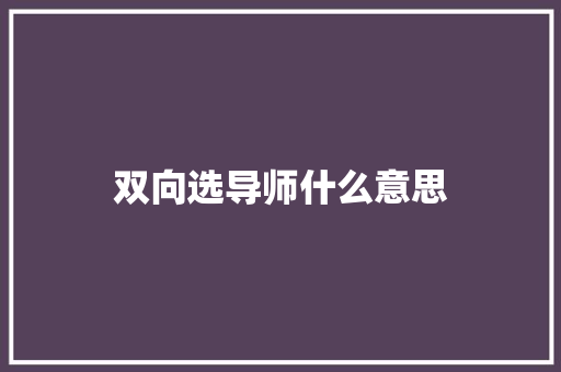 双向选导师什么意思