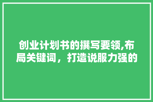 创业计划书的撰写要领,布局关键词，打造说服力强的商业蓝图