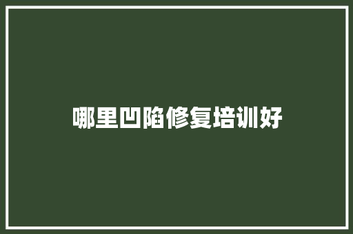 哪里凹陷修复培训好