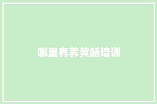 哪里有养黄鳝培训