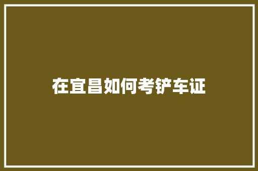在宜昌如何考铲车证