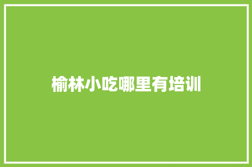 榆林小吃哪里有培训
