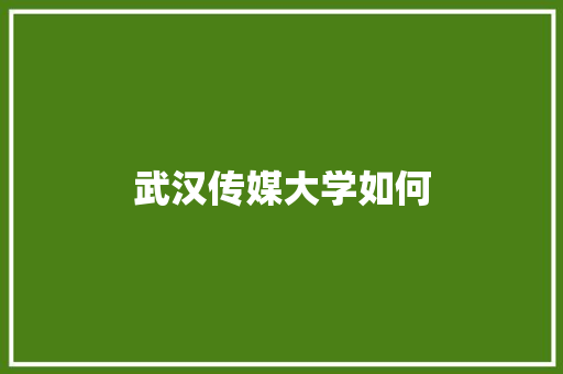 武汉传媒大学如何
