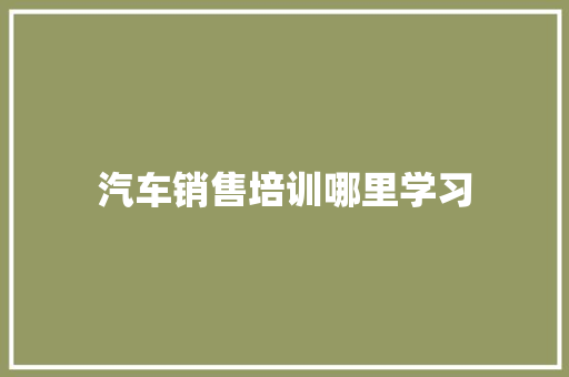 汽车销售培训哪里学习