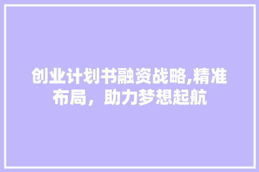 创业计划书融资战略,精准布局，助力梦想起航