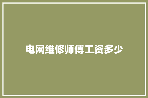 电网维修师傅工资多少