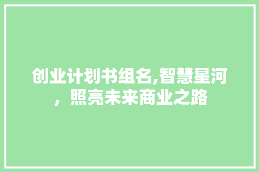 创业计划书组名,智慧星河，照亮未来商业之路