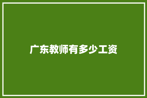 广东教师有多少工资