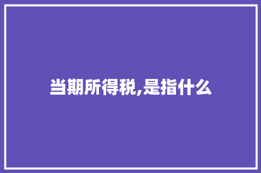 当期所得税,是指什么