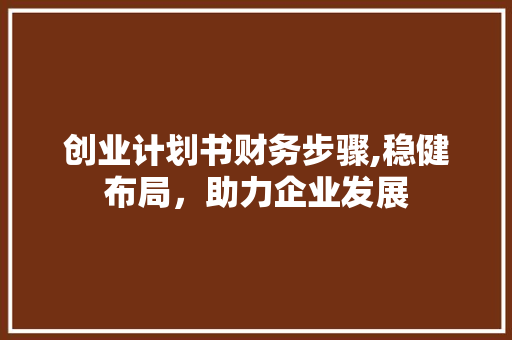 创业计划书财务步骤,稳健布局，助力企业发展