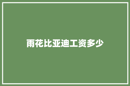 雨花比亚迪工资多少