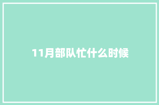 11月部队忙什么时候