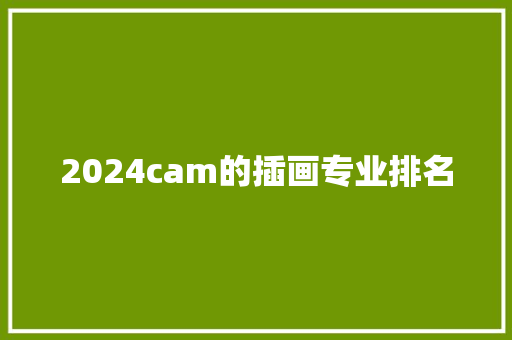 2024cam的插画专业排名
