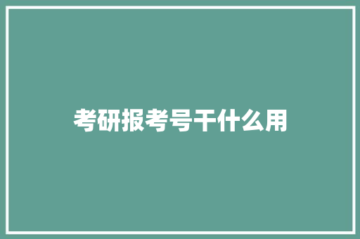 考研报考号干什么用