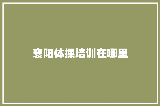襄阳体操培训在哪里