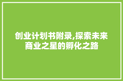 创业计划书附录,探索未来商业之星的孵化之路