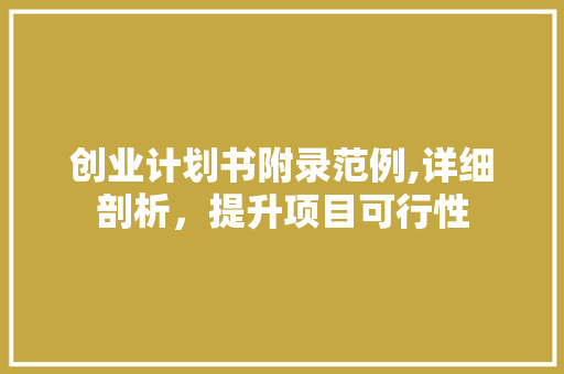 创业计划书附录范例,详细剖析，提升项目可行性