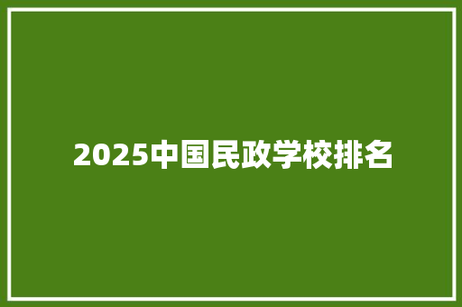 2025中国民政学校排名
