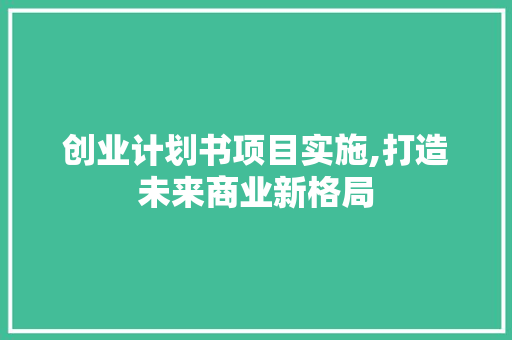 创业计划书项目实施,打造未来商业新格局