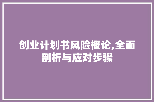 创业计划书风险概论,全面剖析与应对步骤
