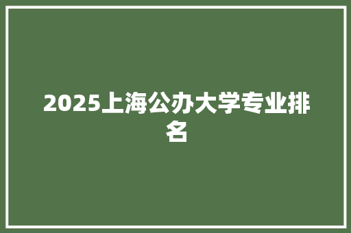 2025上海公办大学专业排名