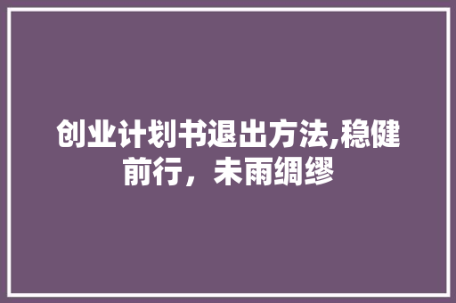创业计划书退出方法,稳健前行，未雨绸缪