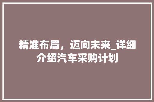 精准布局，迈向未来_详细介绍汽车采购计划
