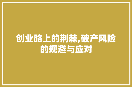 创业路上的荆棘,破产风险的规避与应对