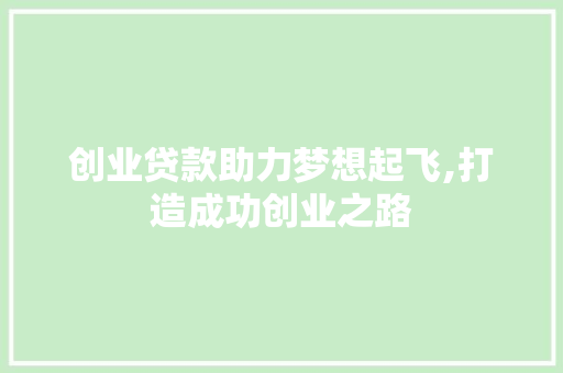 创业贷款助力梦想起飞,打造成功创业之路