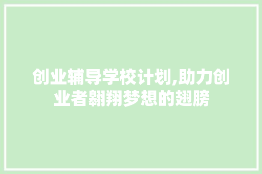 创业辅导学校计划,助力创业者翱翔梦想的翅膀